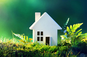 Model white house on moss and fern background